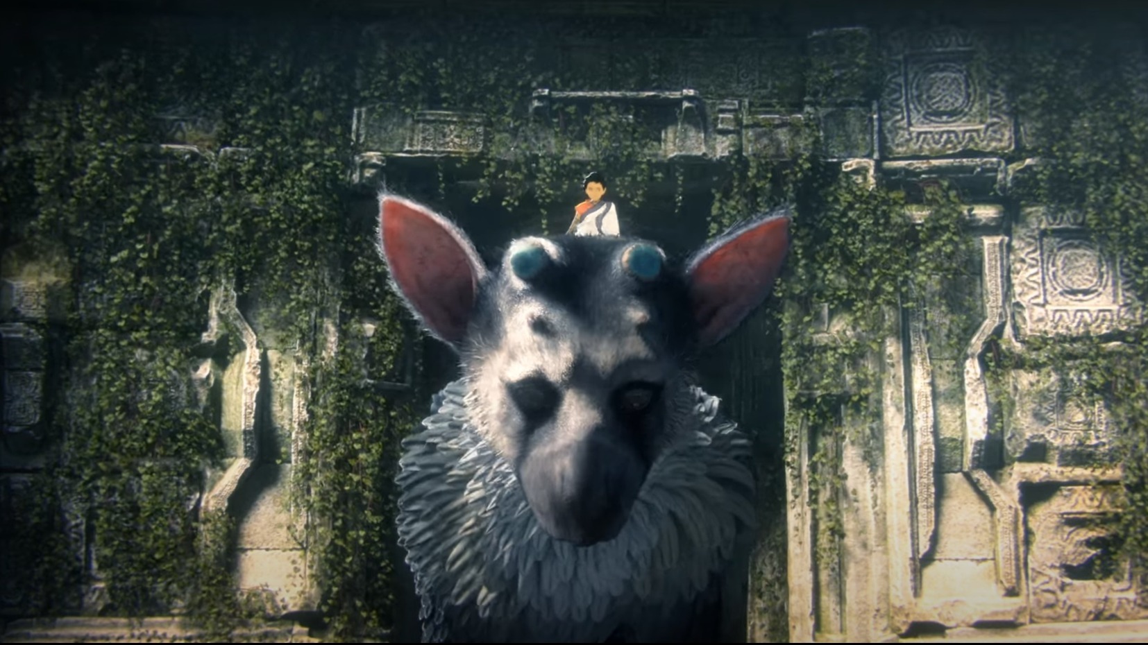 Cropped The Last Guardian