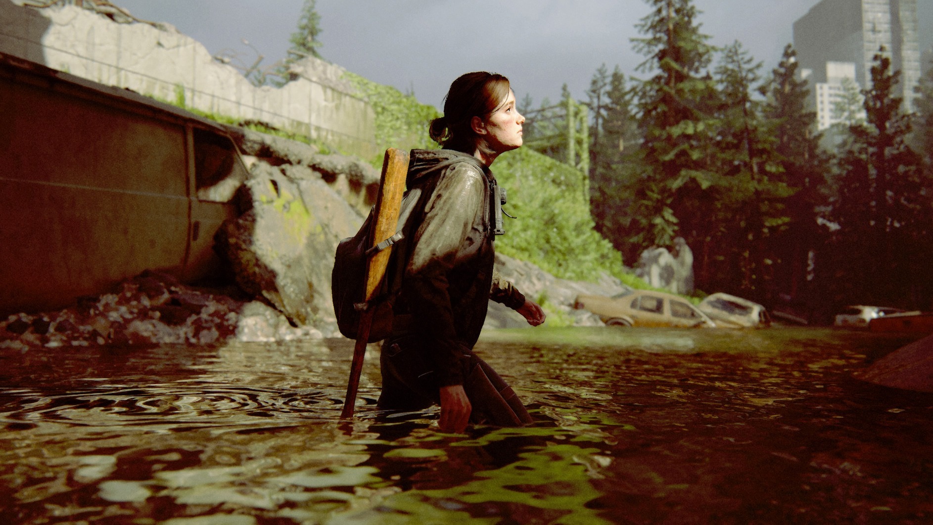 Cropped The Last Of Us Part II