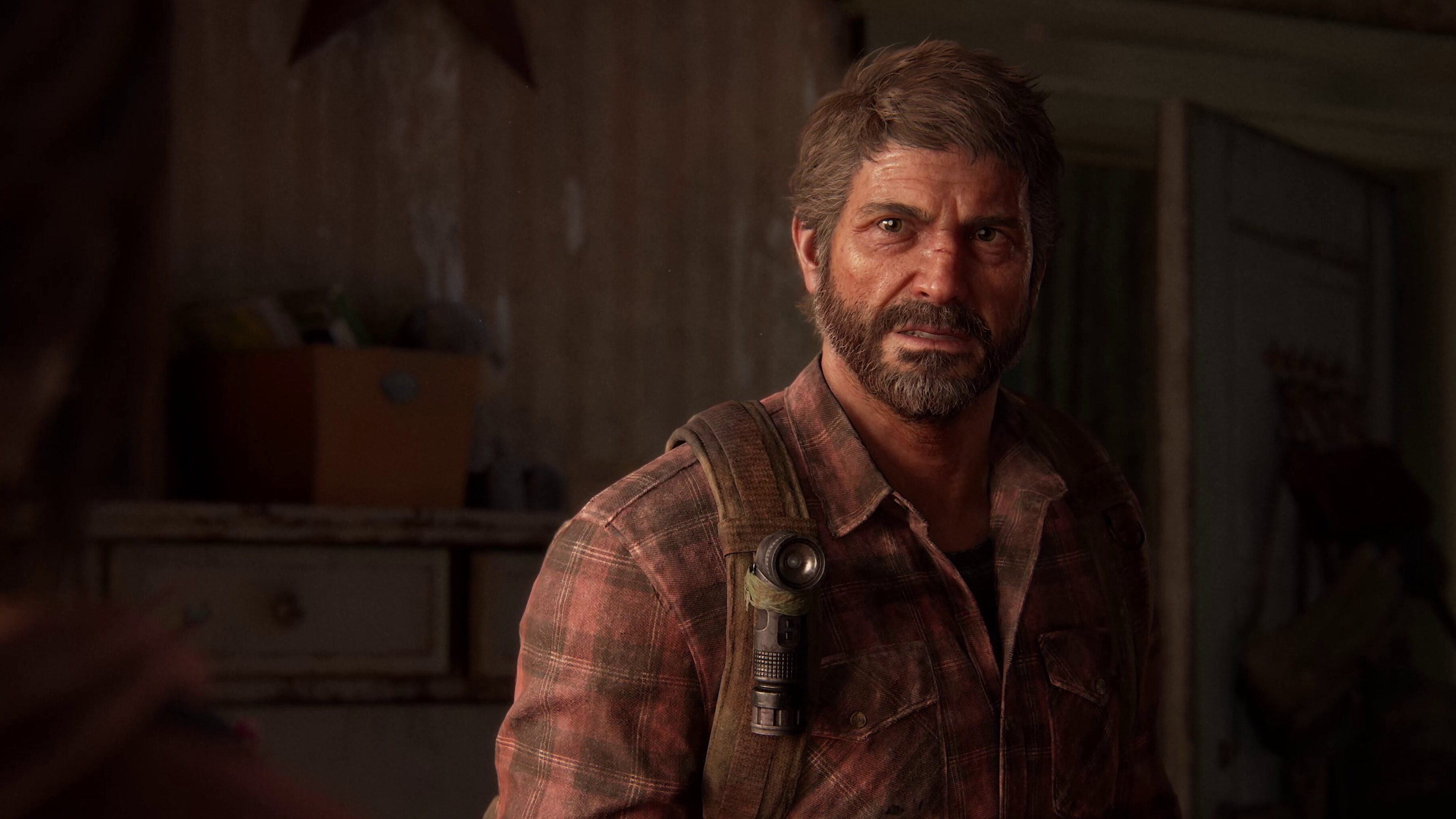 Cropped The Last of Us 2