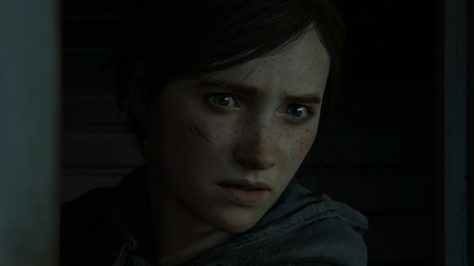 Cropped The Last of Us Ellie