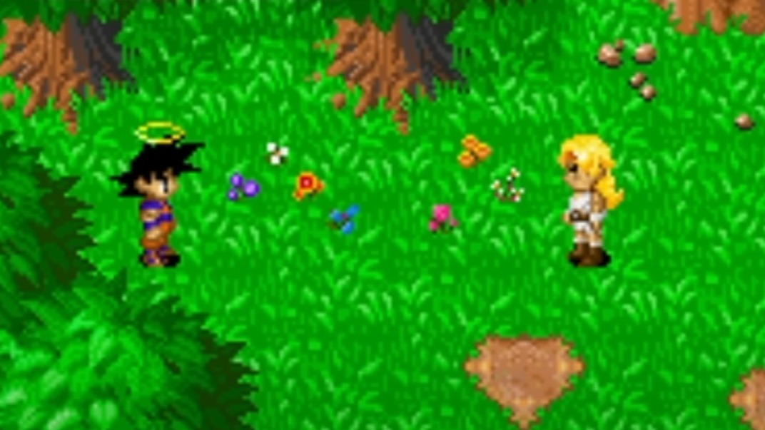 Cropped The Legacy of Goku 2 Buus Fury