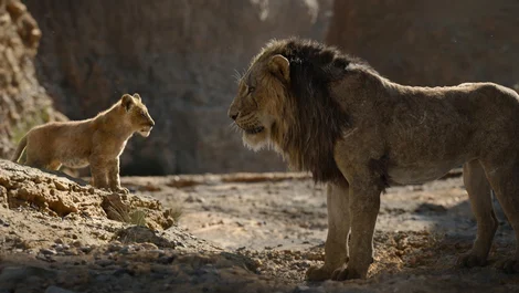 Cropped The Lion King