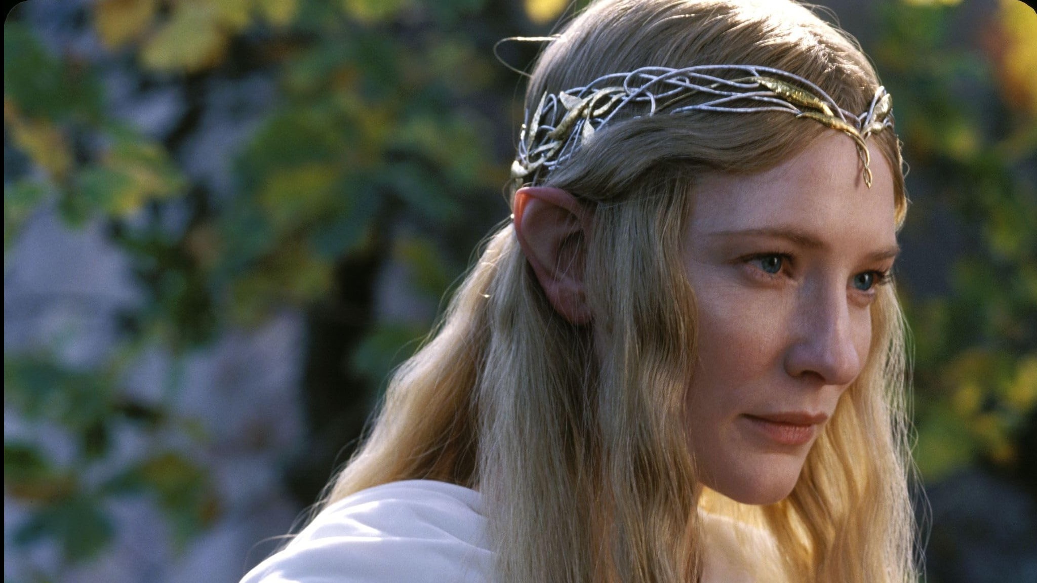 Cropped The Lord of the Rings The Fellowship of the Ring
