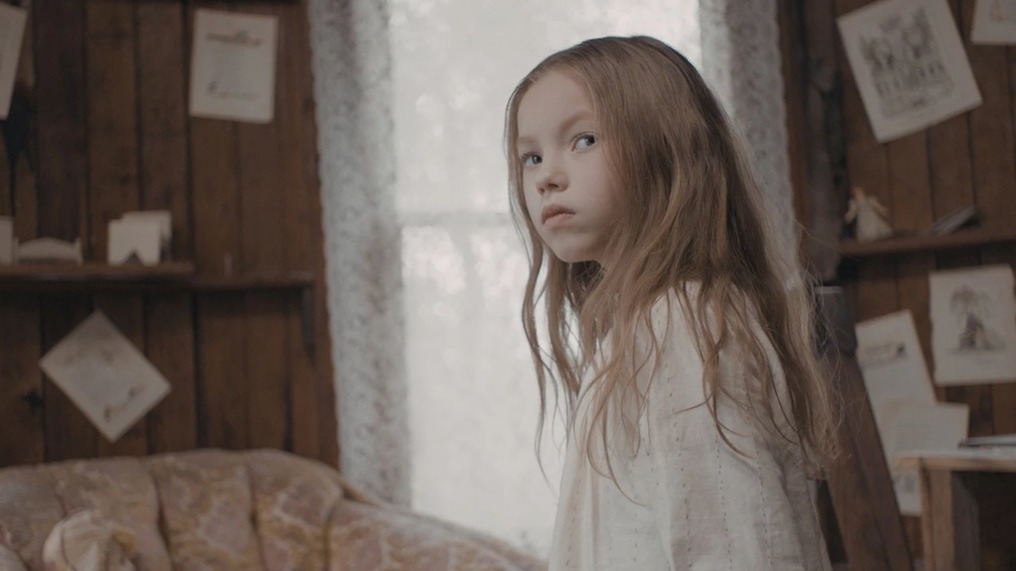 Cropped The Perfect Host A Southern Gothic Tale