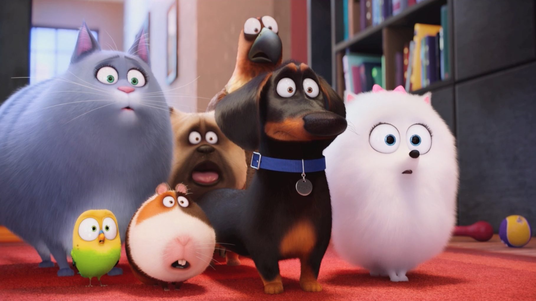 Cropped The Secret Life Of Pets