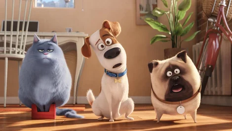 Cropped The Secret Life of Pets