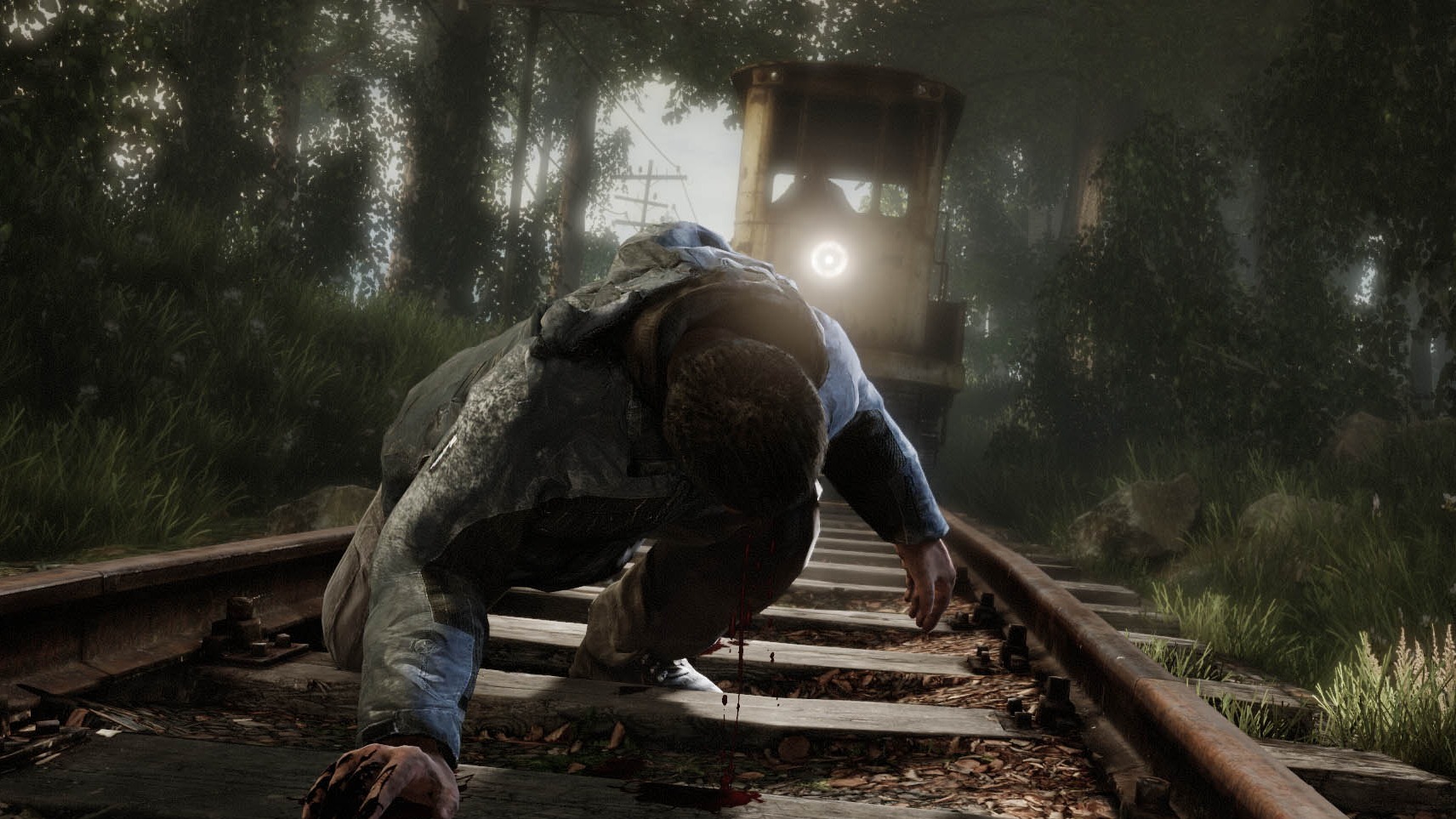 Cropped The Vanishing of Ethan Carter