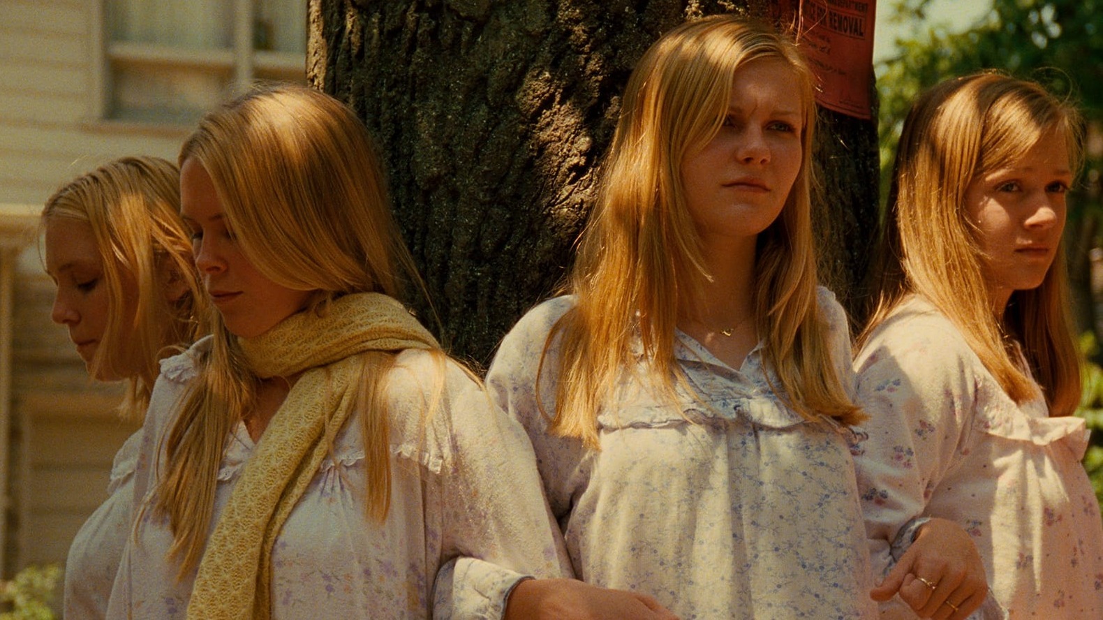Cropped The Virgin Suicides