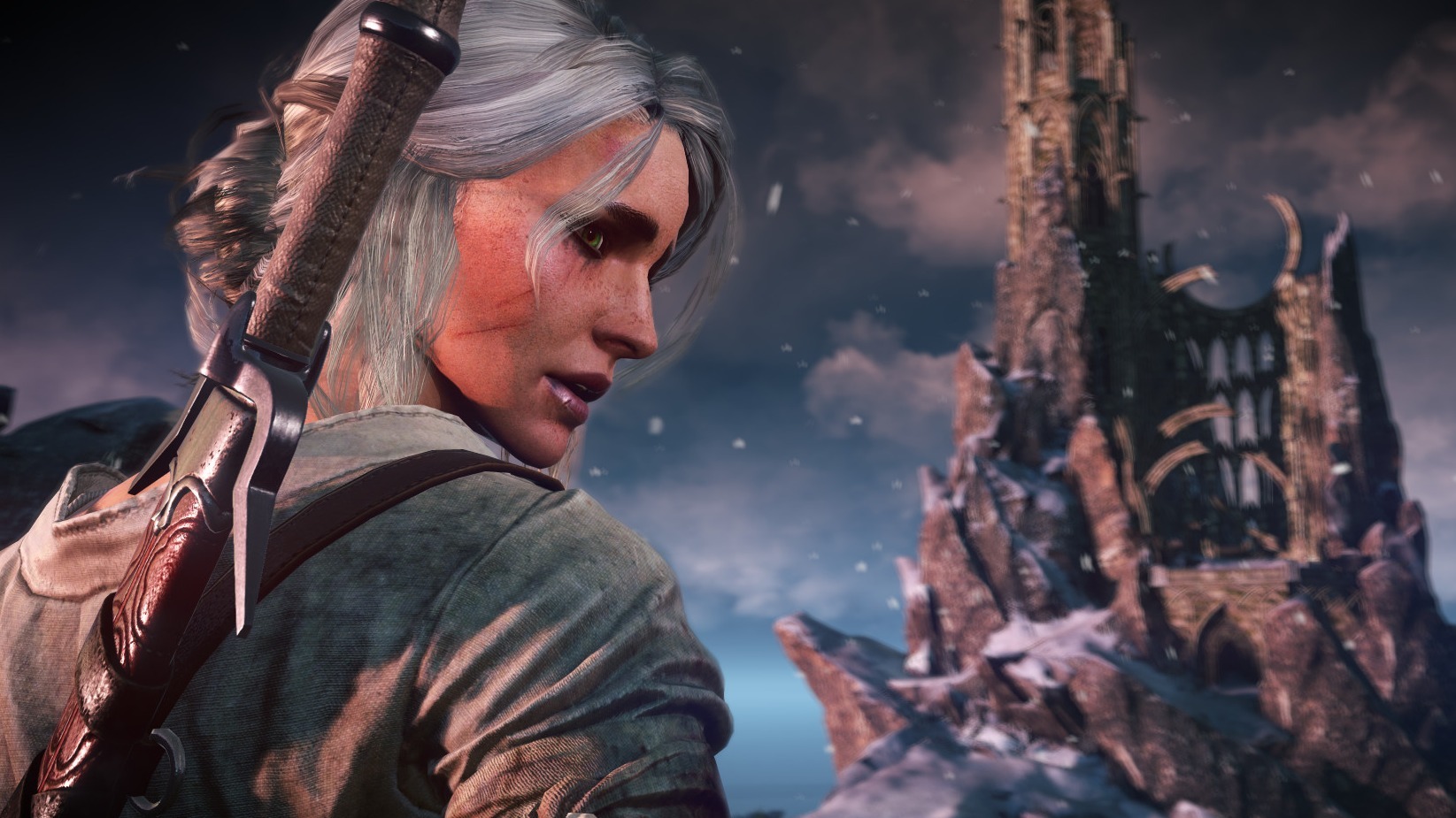 Cropped The Witcher 3 Wild Hunt