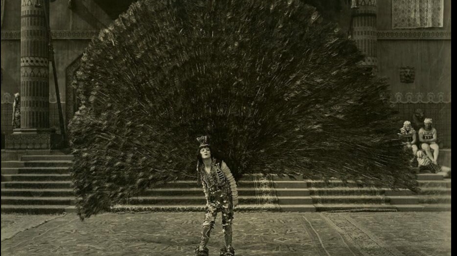Cropped The Wizard of Oz 1925