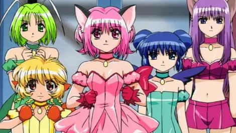 Cropped Tokyo Mew Mew