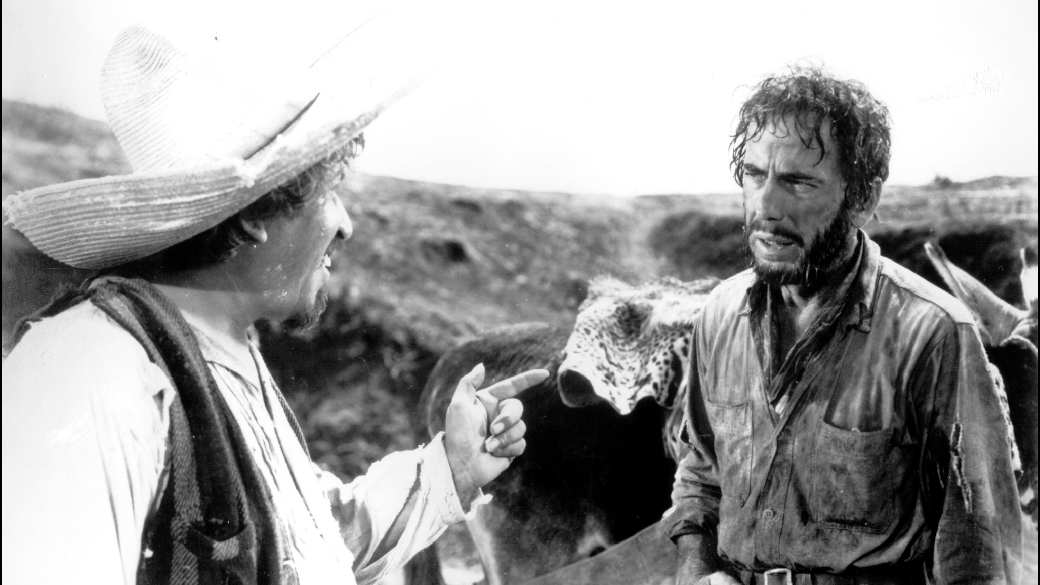 Cropped Treasure of Sierra Madre