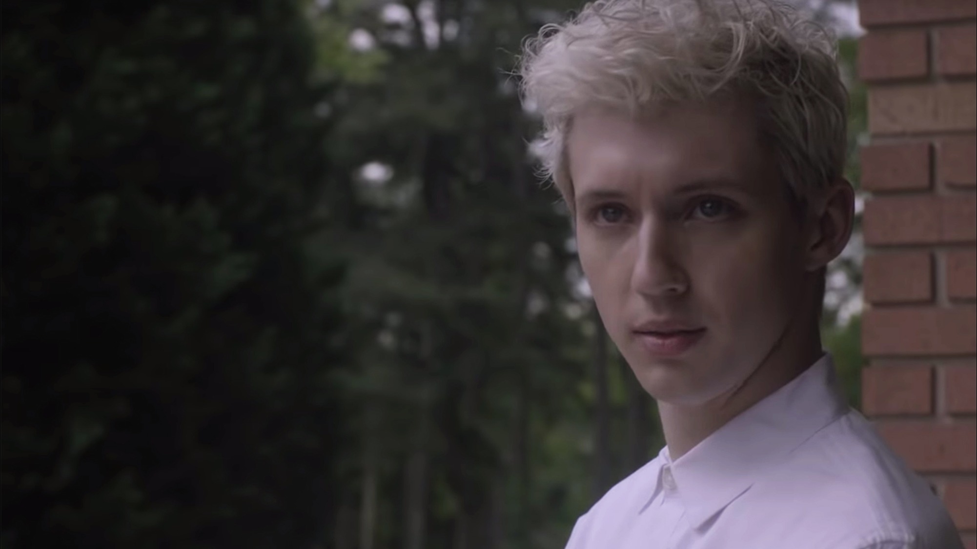 Cropped Troye Sivan in Boy Eraased