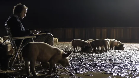 Cropped Upstream Color