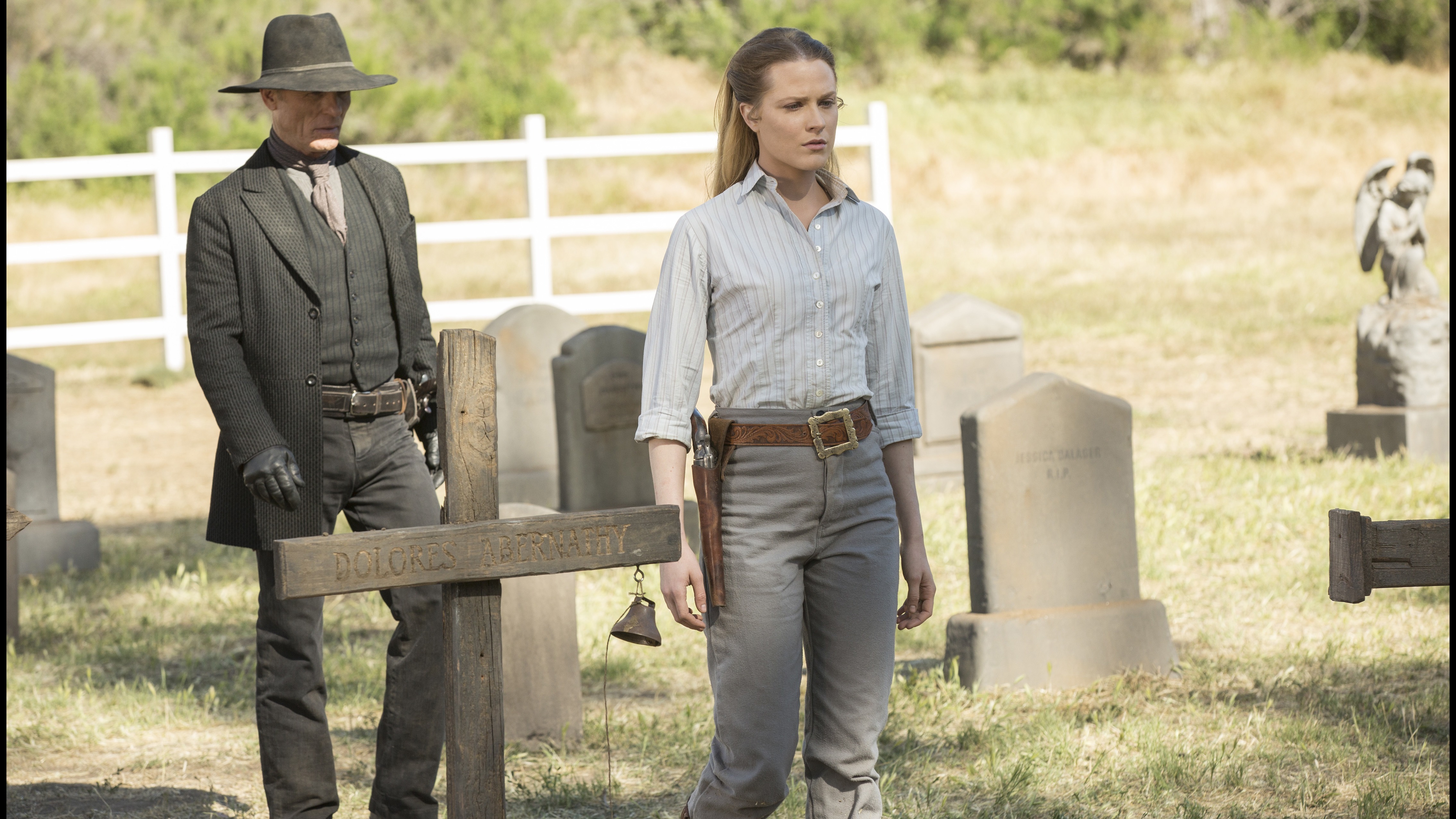 Cropped Westworld