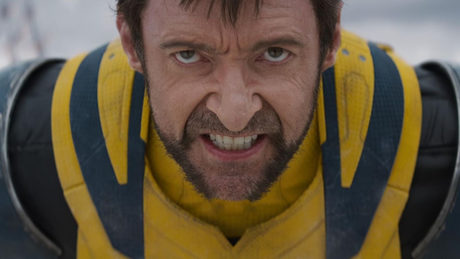 Cropped Wolverine