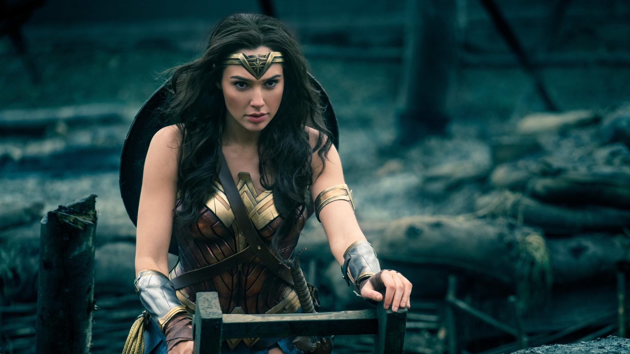Cropped Wonder Woman