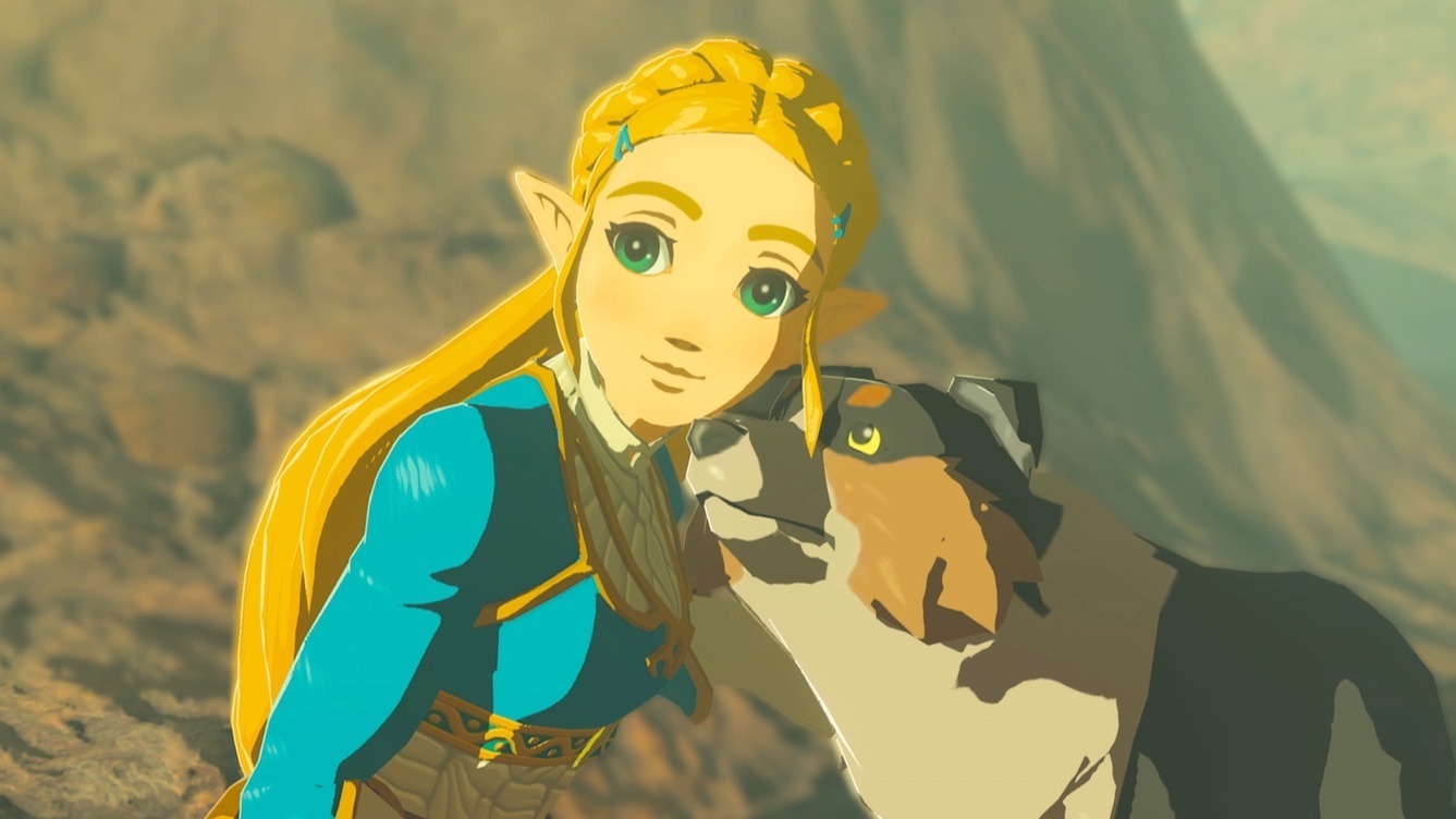 Cropped Zelda