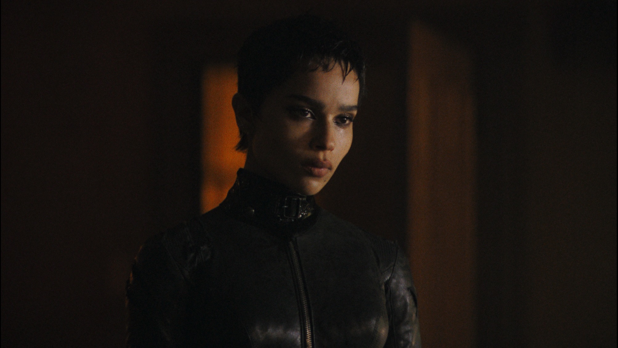 Cropped Zoë Kravitz the batman
