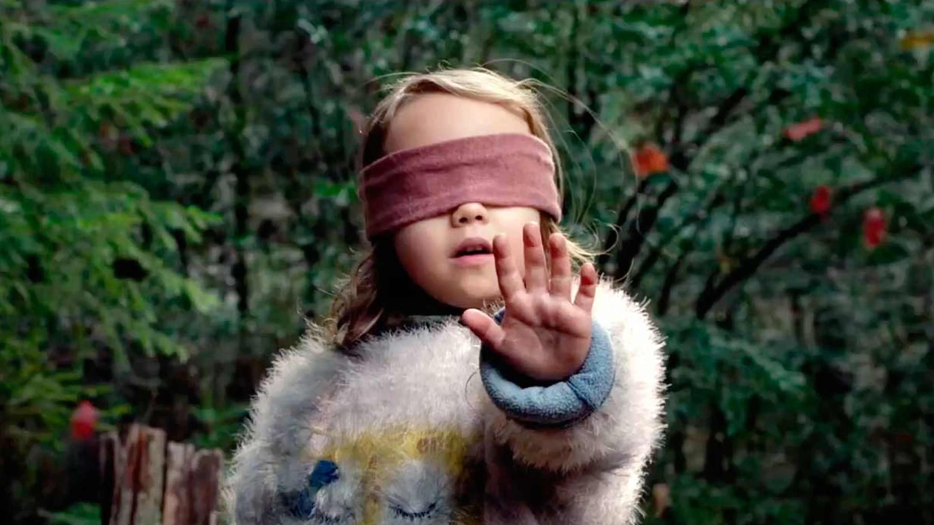 Cropped bird box 2018
