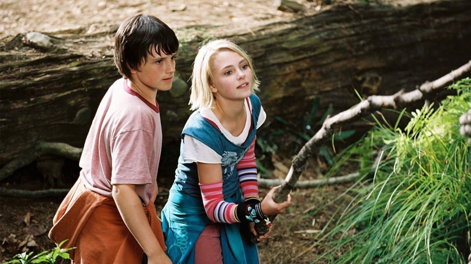 Cropped bridge to terabithia