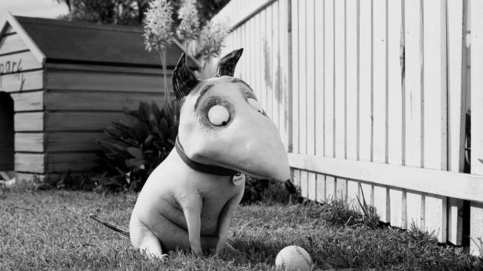 Cropped frankenweenie 2012