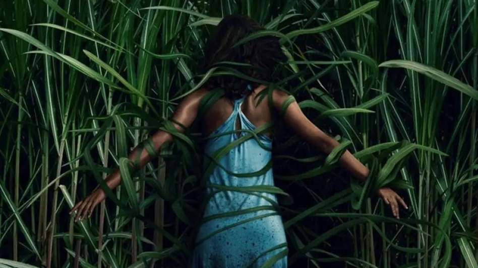 Cropped in the tall grass