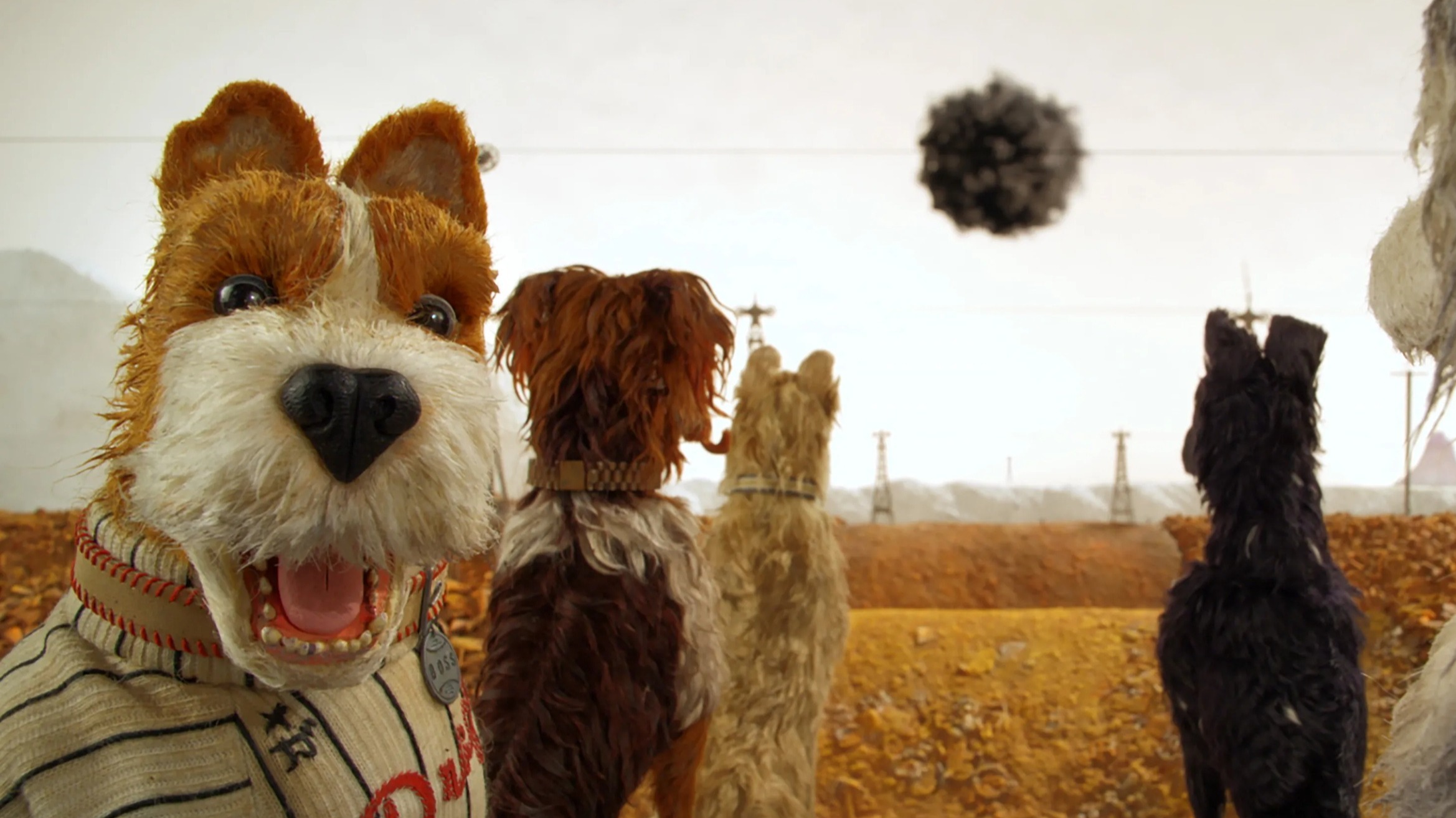 Cropped isle of dogs 2018
