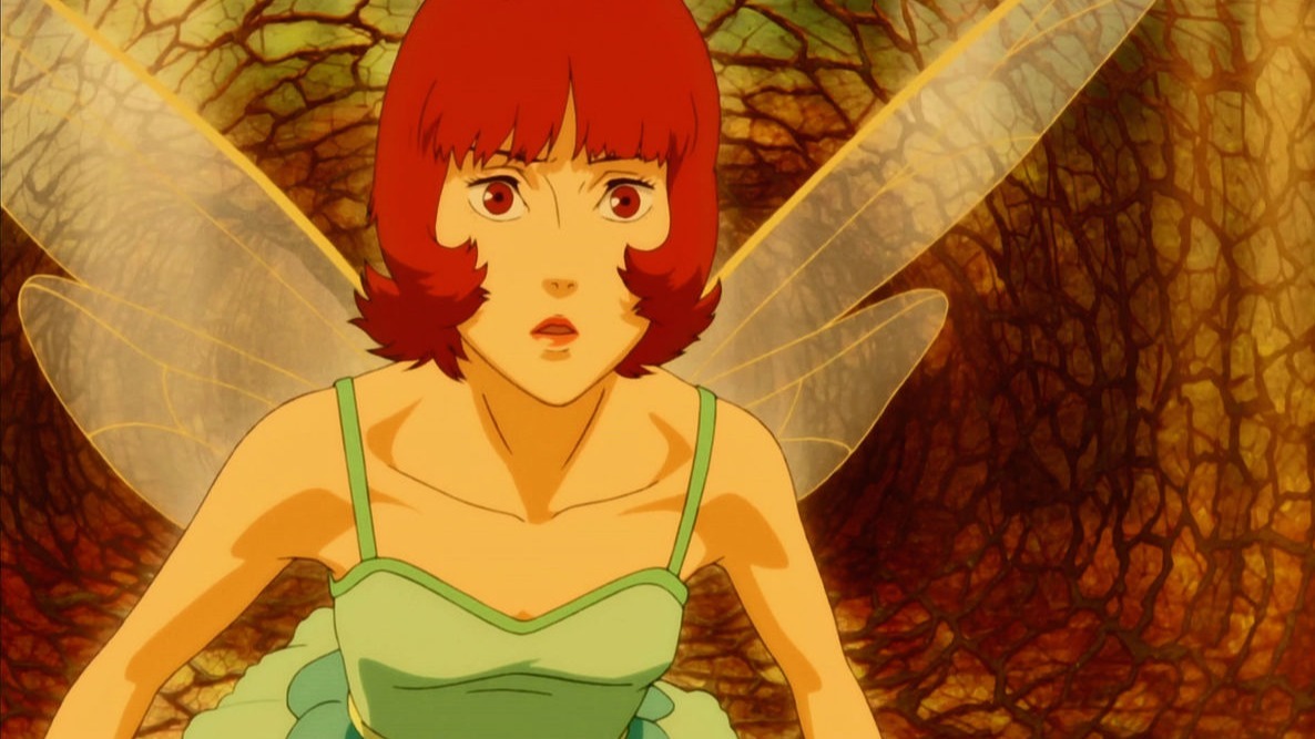 Cropped paprika 2006