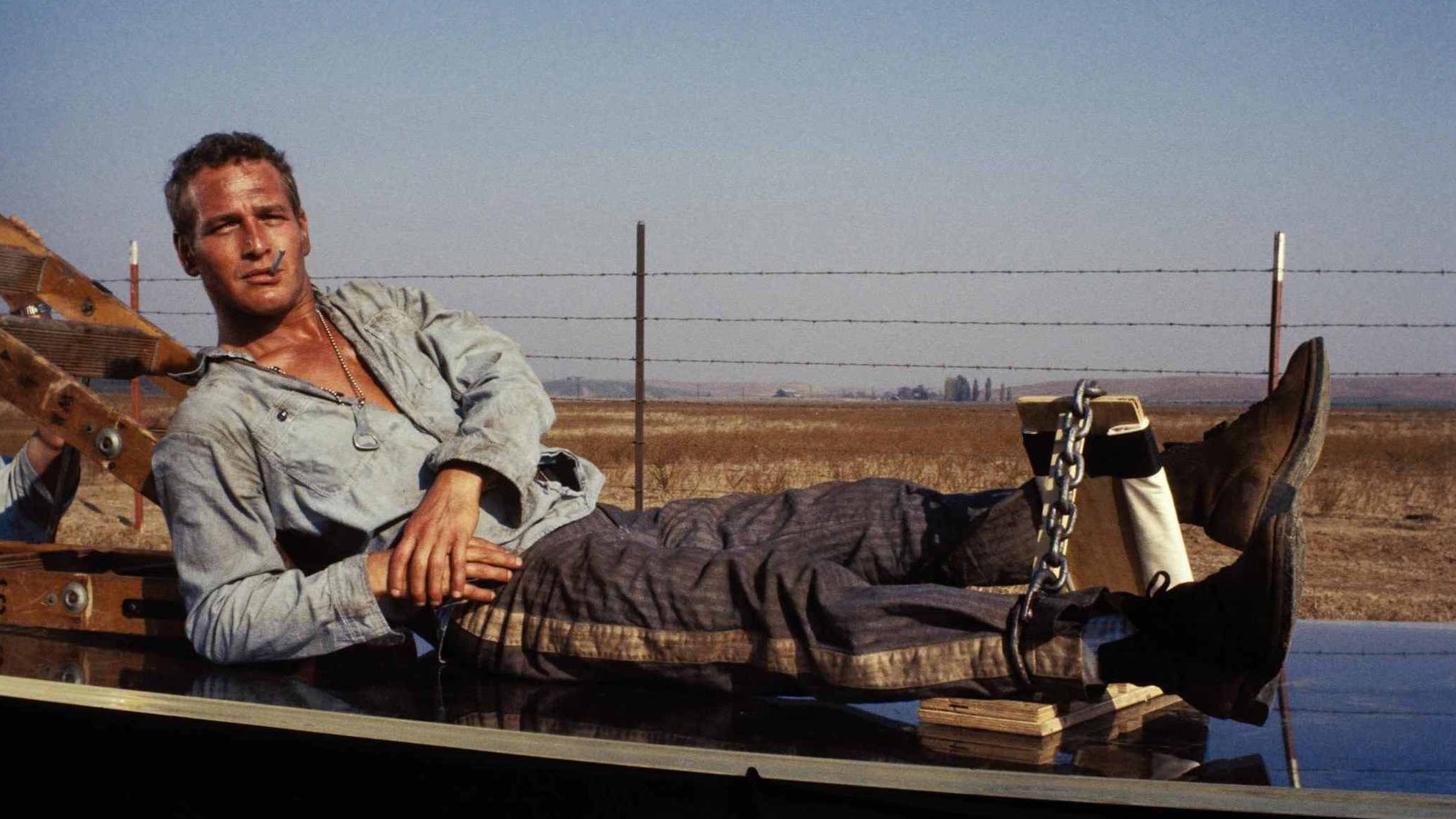 Cropped paul newman cool hand luke