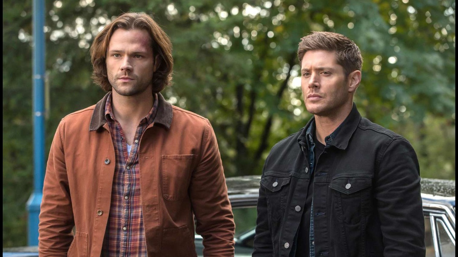 Cropped supernatural