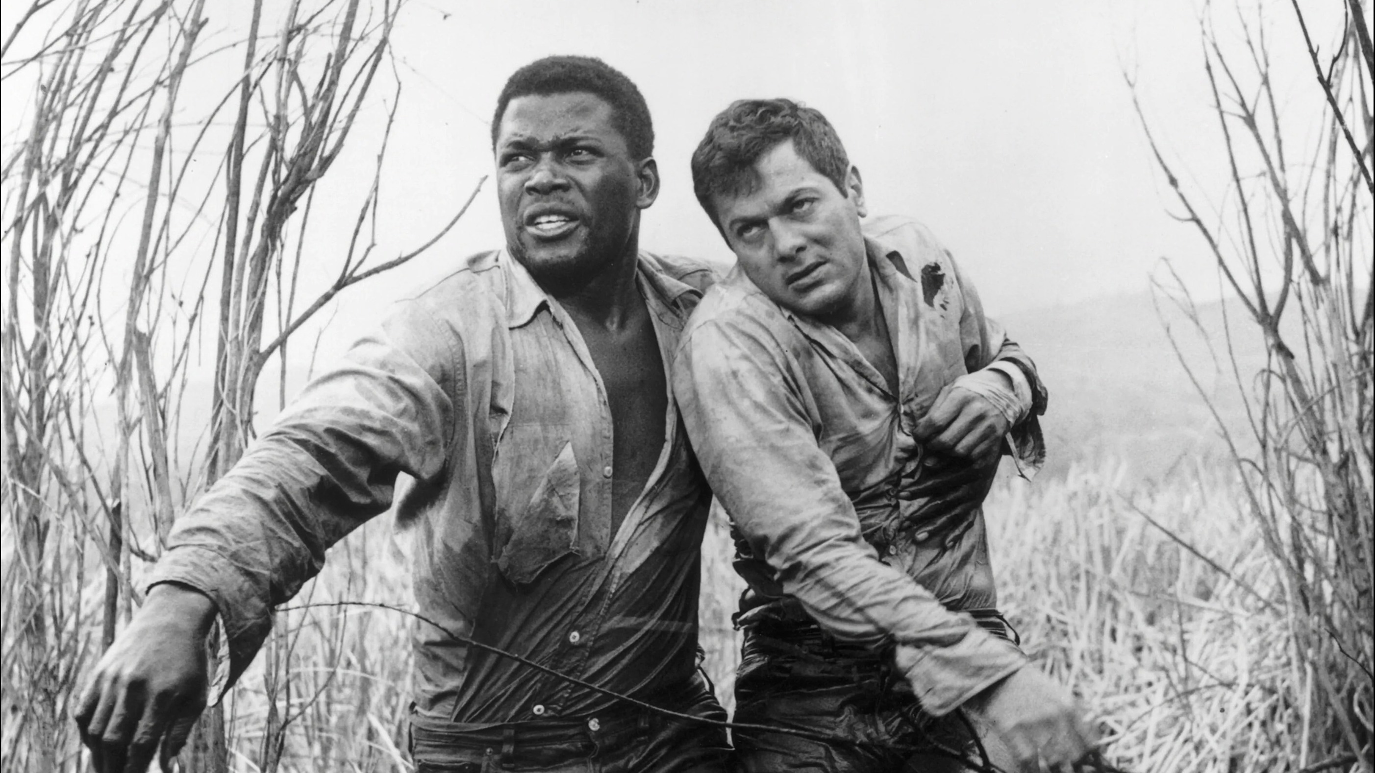 Cropped the defiant ones