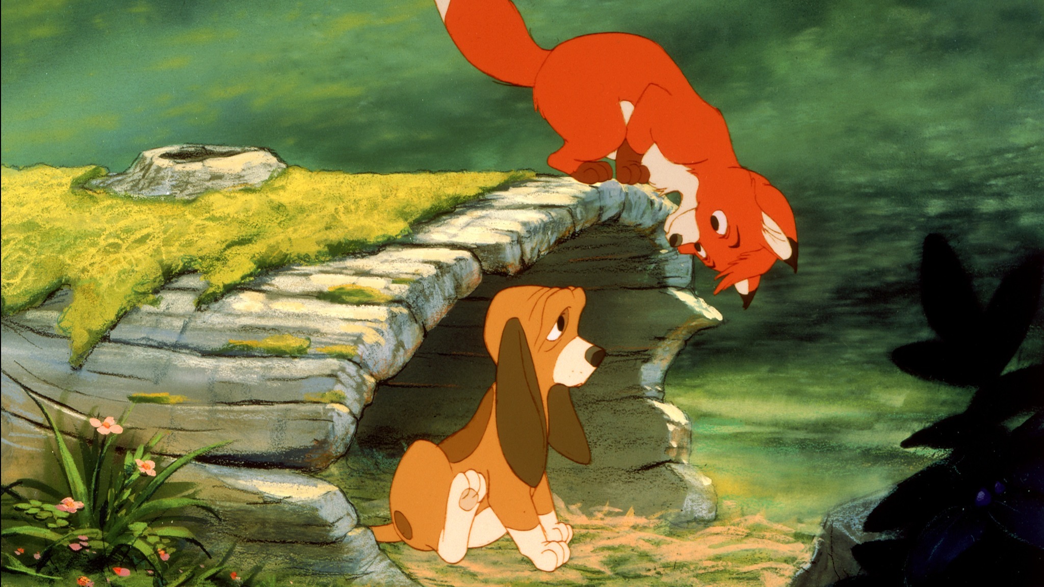 Cropped the fox and the hound