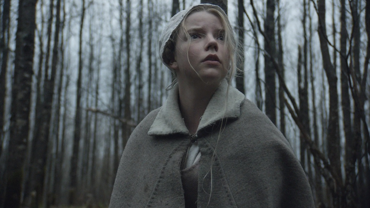 Cropped the witch 2015
