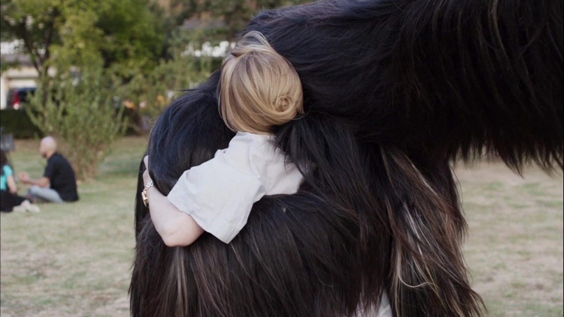 Cropped toni erdmann