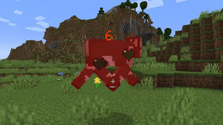 Damage minecraft