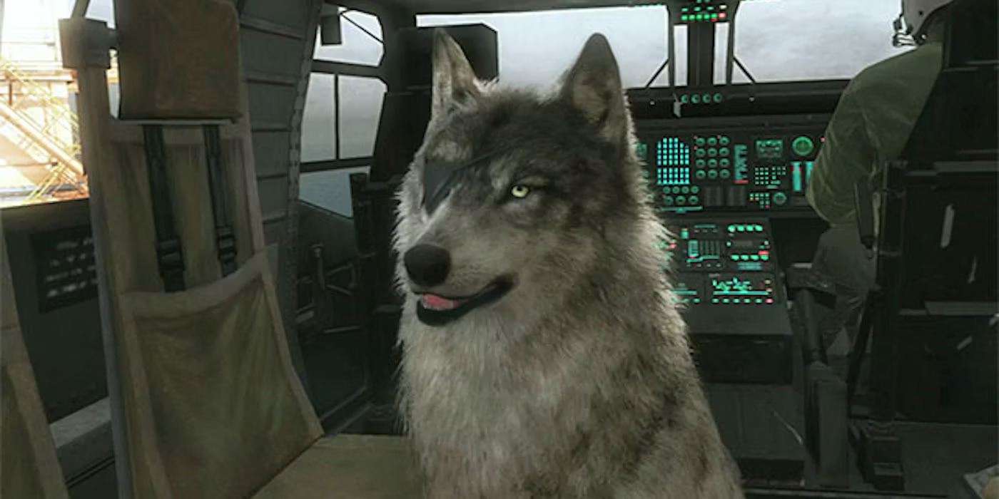 Ddog