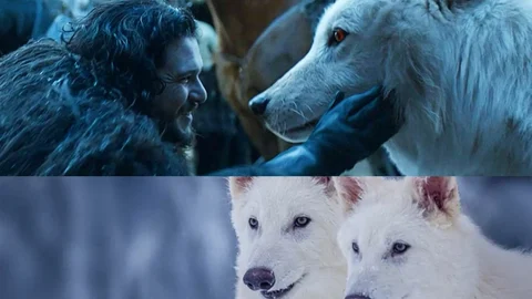 Game of Thrones Fans, Rejoice: Scientists Just Brought… | EarlyGame