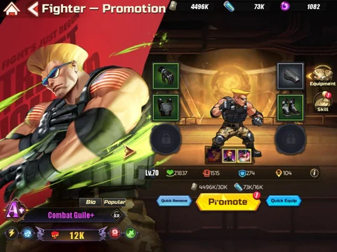 How To Get Master And Infernal Fighters In Street Fighter: Duel