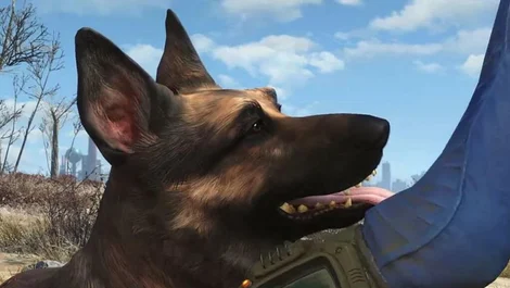 Dogmeat