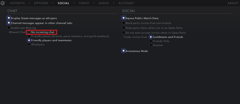 Dota 2 anonymous mode incoming chat