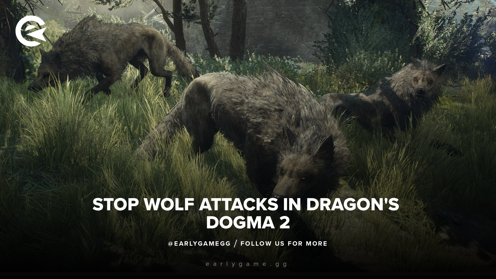 Игрок обнаруживает хитроумную стратегию, позволяющую остановить атаки волков в Dragon's Dogma 2