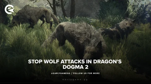 Dragons dogma 2 wolves