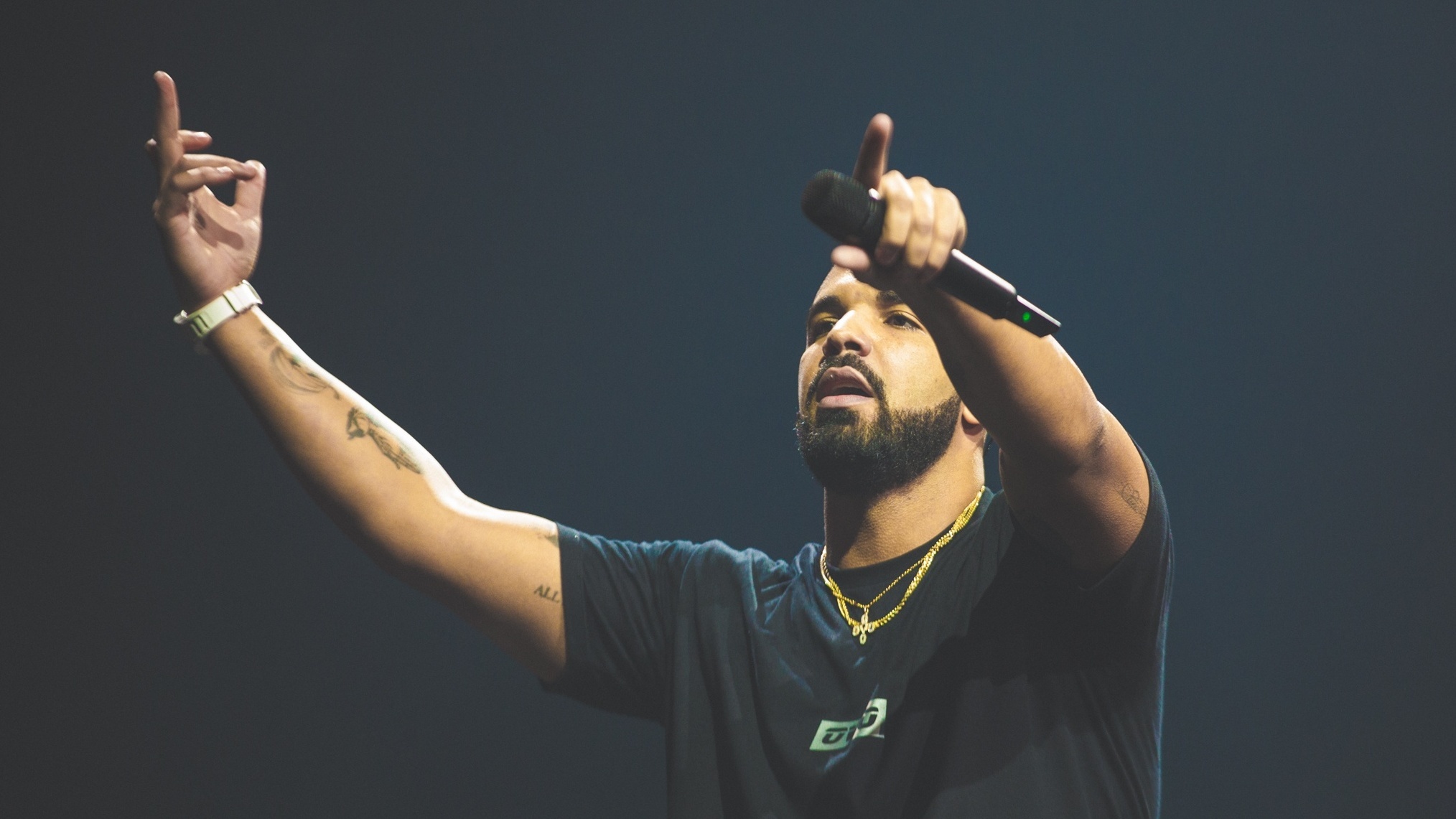 Drake cropped processed by imagy