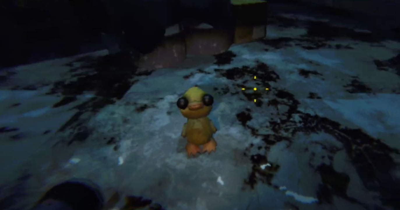 Duck