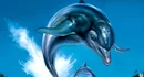 Ecco the dolphin tumbnail