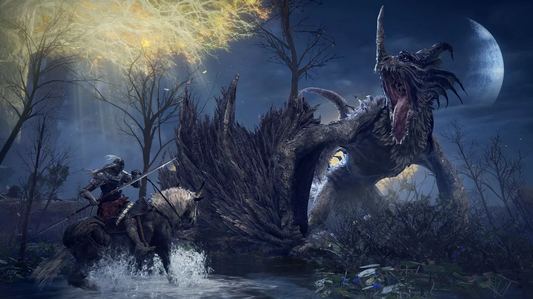 Elden ring dragonnn