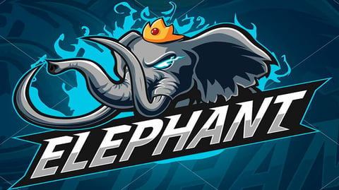 Elephant dota 2 china star team