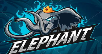 Elephant dota 2 china star team