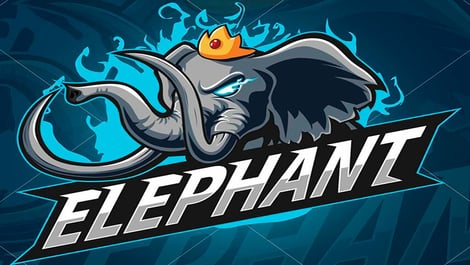 Elephant dota 2 china star team